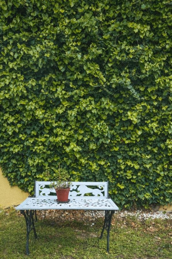 Abelia Boutique Rooms Tsilivi  Ngoại thất bức ảnh