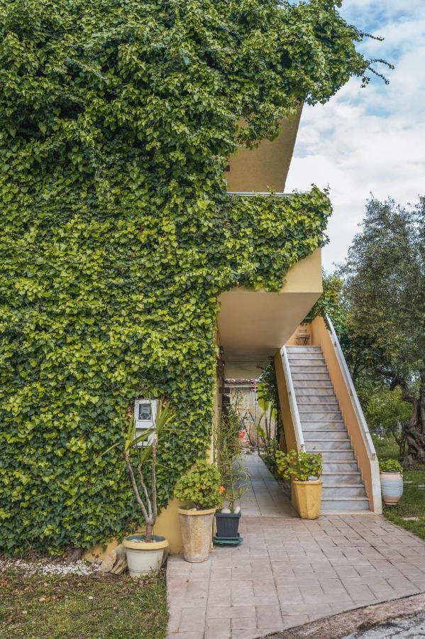 Abelia Boutique Rooms Tsilivi  Ngoại thất bức ảnh